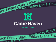 Black Friday Promotion